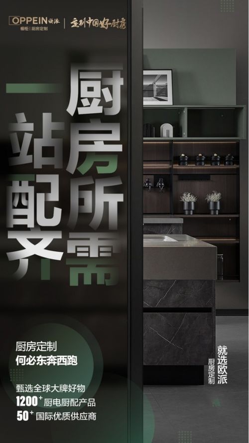 从经济学视角解读欧派橱柜整厨全包套餐 为何专业设计服务是理性消费决策